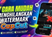 7 Cara Mudah Menghilangkan Watermark CapCut