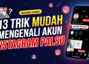 13 Trik Mudah Mengenali Akun Instagram Palsu