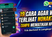 19 Cara Agar WA Terlihat Nonaktif Tanpa Mematikan HP