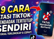 19 Cara Atasi Aplikasi TikTok Mendadak Tertutup Sendiri