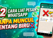 12 Cara Lihat Pesan WhatsApp Tanpa Muncul Centang Biru
