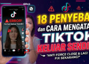 18 Penyebab dan Cara Mengatasi TikTok Keluar Sendiri