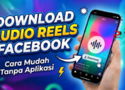Download Audio Reels Facebook
